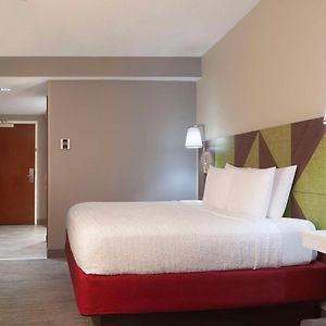 King Room Mobility Access or Non-Smoking